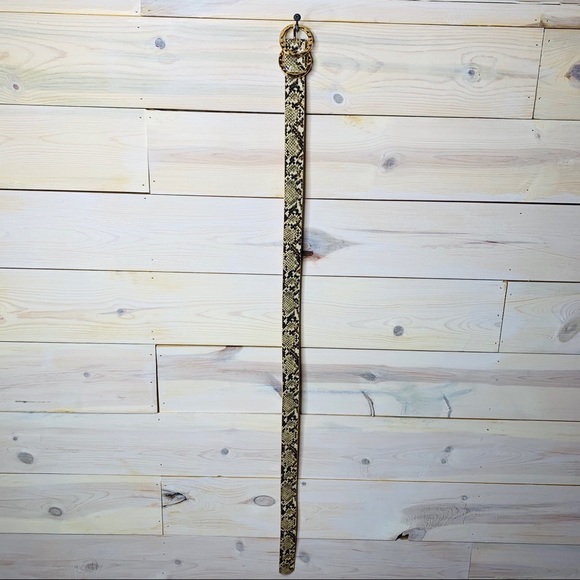 Trendy Faux Snakeskin Belt with Two Gold Circles - Picture 6 of 7